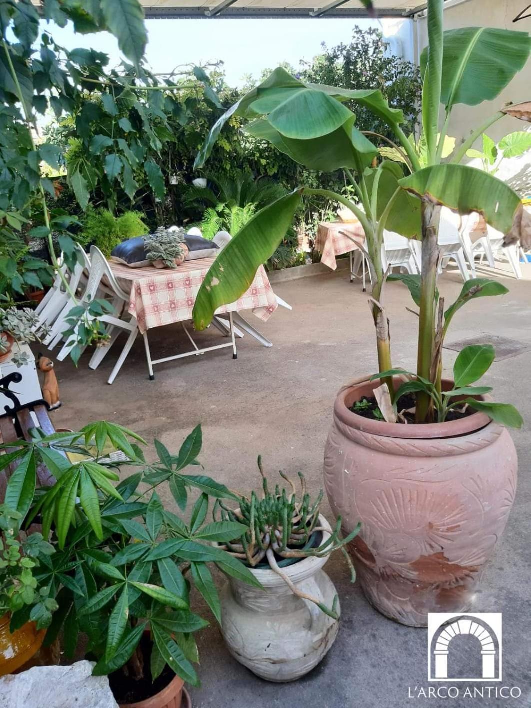 Arco Antico Hotel Grassano Ngoại thất bức ảnh
